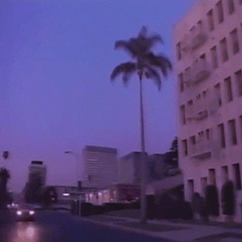 l.a. vice