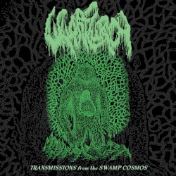 Transmissions From the Swamp Cosmos