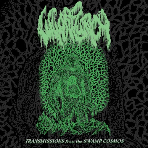 Transmissions From the Swamp Cosmos