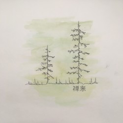 Forgotten Pine Trails I