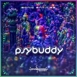 Sonic Entities