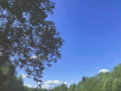 temporal love of blue skies