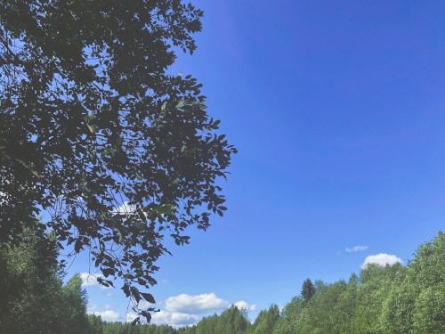temporal love of blue skies
