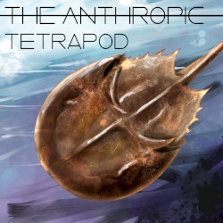 Tetrapod