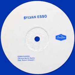 Ferris Wheel (Terrace Martin remix)