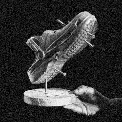 Crocs On The Plough