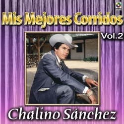 Mis mejores corridos, volumen 2