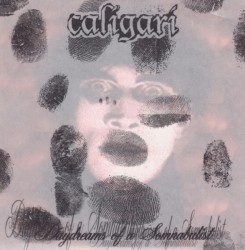 Daydreams Of A Somnabulist