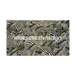 Widescreen:16:9:V1