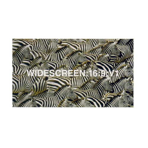 Widescreen:16:9:V1
