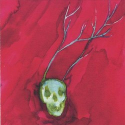 I Am a Cold Rock. I Am Dull Grass. A Tribute to the Music of Will Oldham