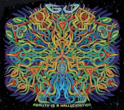 Reality Is A Hallucination