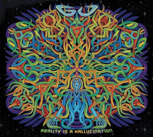 Reality Is A Hallucination
