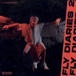 Fly Diaries 2