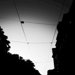 Urban Silence