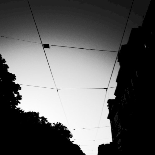 Urban Silence