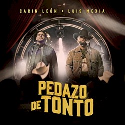 Pedazo de tonto