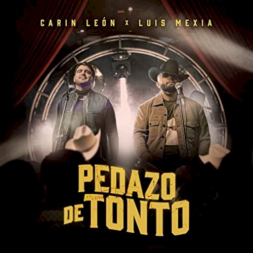 Pedazo de tonto