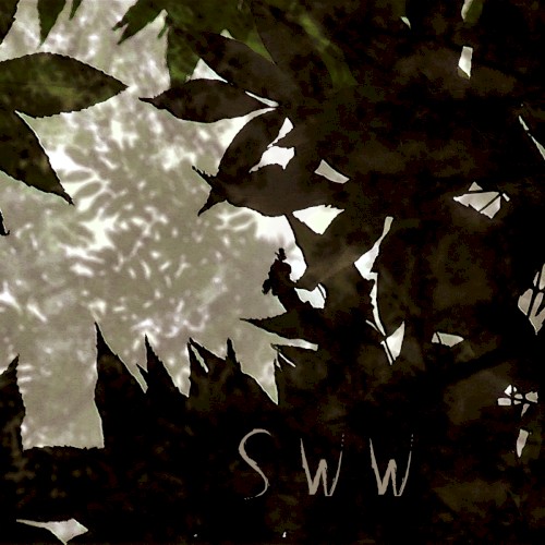 Song Without Words