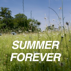 Summer Forever