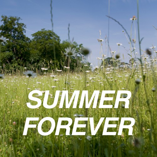 Summer Forever