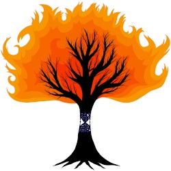 Embers.
