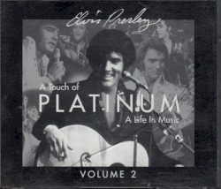 A Touch of Platinum: A Life in Music, Volume 2