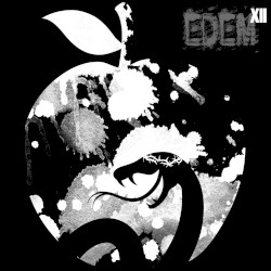 EDEM XII