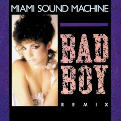 Bad Boy (remix)