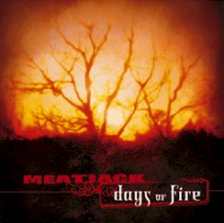 Days of Fire