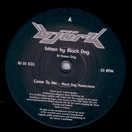 Björk Bitten by Black Dog