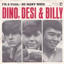 I'm A Fool / So Many Ways