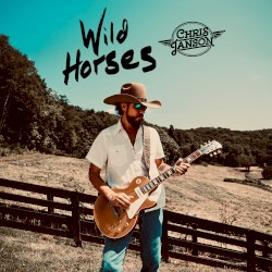 Wild Horses