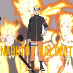 NARUTO FINAL BEST