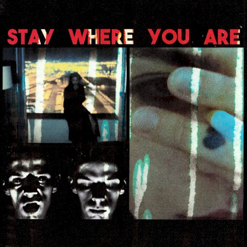 Stay Where You Are