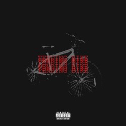 Bike's Fun Adventure 2