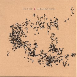 Murmurations