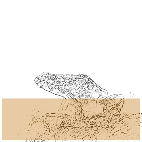 [untitled]