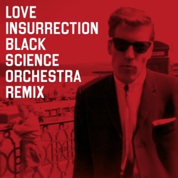 Love Insurrection (Black Science Orchestra remix)