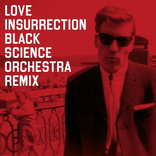 Love Insurrection (Black Science Orchestra remix)