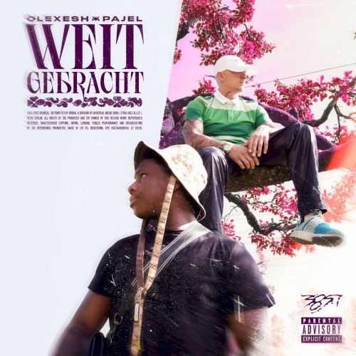Weit gebracht