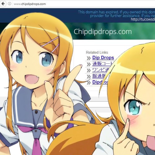 RIP Onii-chan (Dedicated To Chipdipdrops)