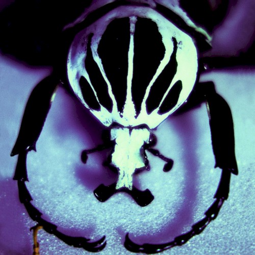 Make a Pest a Pet