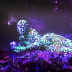 Too Fast