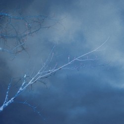 Vague distance