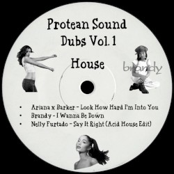Protean Sound Dubs Vol. 1 (House)