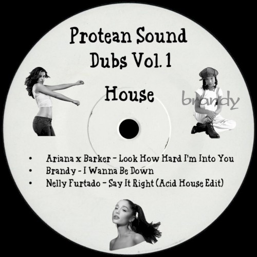 Protean Sound Dubs Vol. 1 (House)