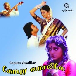 Gopura Vasalile