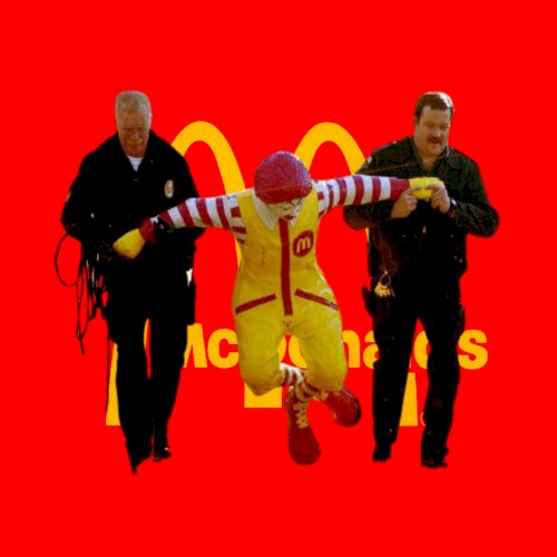 Mr. McDonald, the jury has found you guilty of Unlawful Placing of a Destructive Device on an Aircraft; Performing an Act of Violence Against an Individual on an Aircraft; Hostage Taking; Murder of United States Nationals Outside of the United States