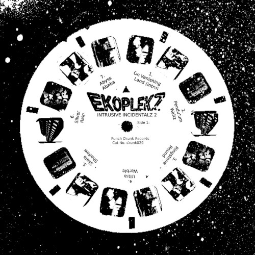 Intrusive Incidentalz Vol 2